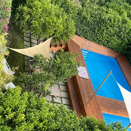 Palazzo Pirozzi 住宿加早餐酒店 博斯科雷亚莱