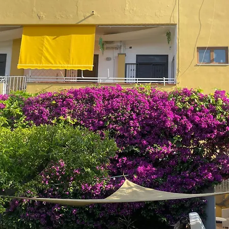Palazzo Pirozzi Bed & Breakfast Boscoreale